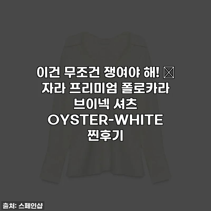 이건 무조건 쟁여야 해! ✨ 자라 프리미엄 폴로카라 브이넥 셔츠 OYSTER-WHITE 찐후기