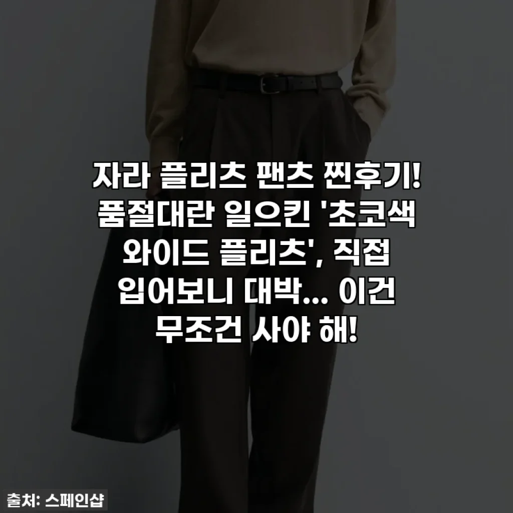 자라 플리츠 팬츠 찐후기! 품절대란 일으킨 '초코색 와이드 플리츠', 직접 입어보니 대박... 이건 무조건 사야 해!