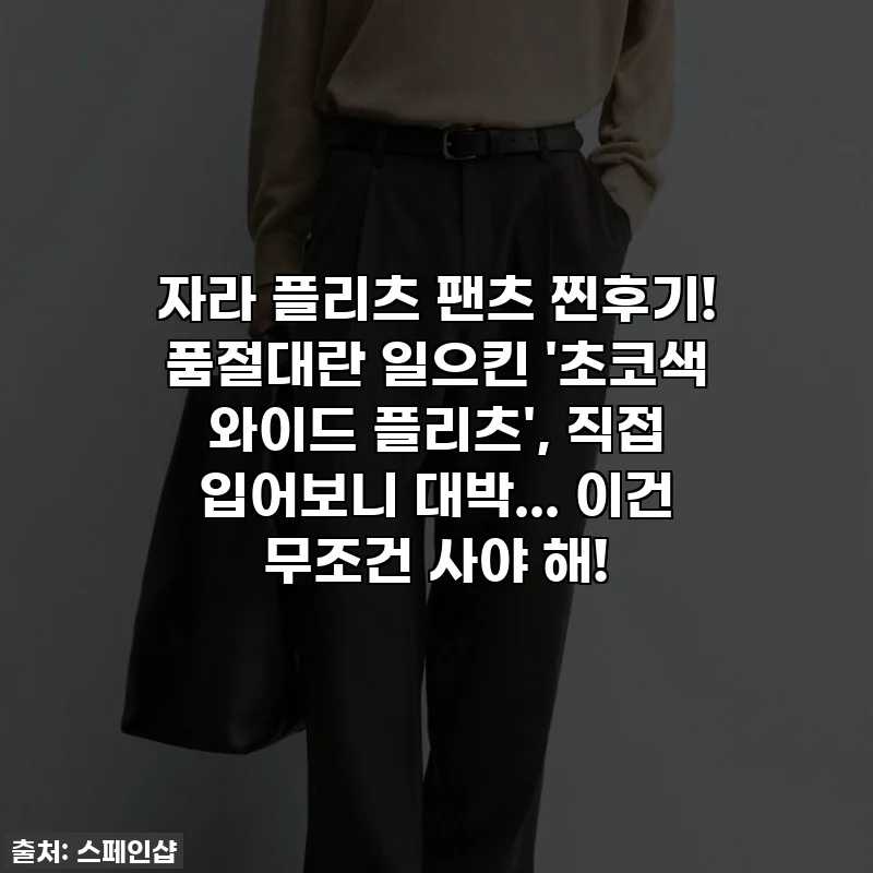 자라 플리츠 팬츠 찐후기! 품절대란 일으킨 '초코색 와이드 플리츠', 직접 입어보니 대박... 이건 무조건 사야 해!