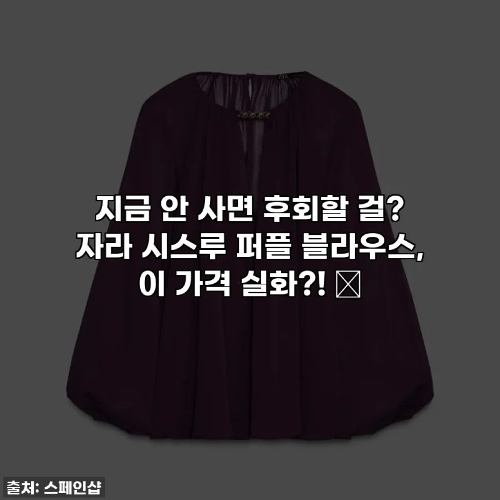 지금 안 사면 후회할 걸? 자라 시스루 퍼플 블라우스, 이 가격 실화?! 💜