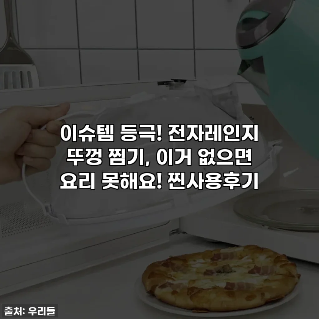 이슈템 등극! 전자레인지 뚜껑 찜기, 이거 없으면 요리 못해요! 찐사용후기