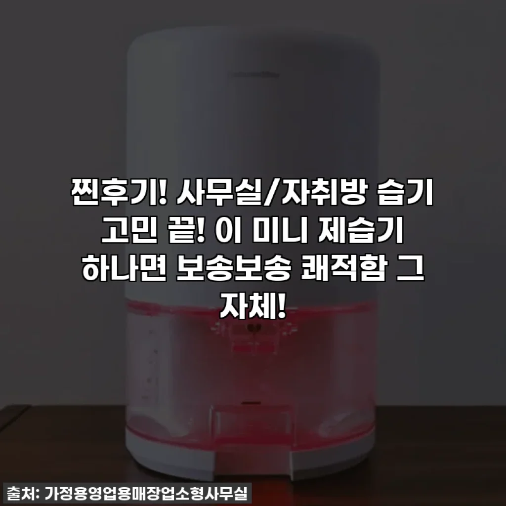 찐후기! 사무실/자취방 습기 고민 끝! 이 미니 제습기 하나면 보송보송 쾌적함 그 자체!