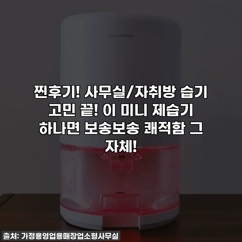 찐후기! 사무실/자취방 습기 고민 끝! 이 미니 제습기 하나면 보송보송 쾌적함 그 자체!