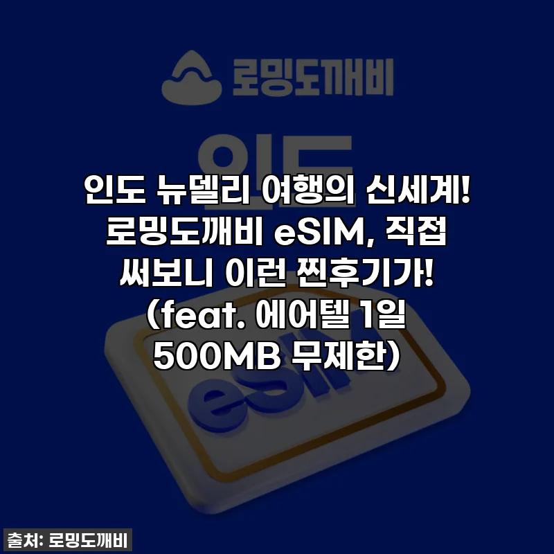 인도 뉴델리 여행의 신세계! 로밍도깨비 eSIM, 직접 써보니 이런 찐후기가! (feat. 에어텔 1일 500MB 무제한)