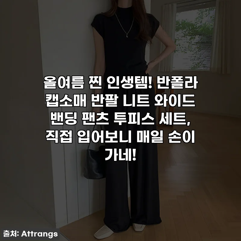 올여름 찐 인생템! 반폴라 캡소매 반팔 니트 와이드 밴딩 팬츠 투피스 세트, 직접 입어보니 매일 손이 가네!