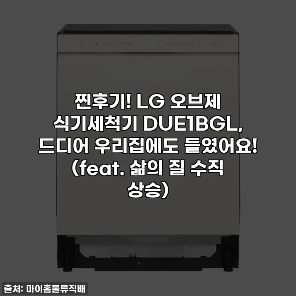 찐후기! LG 오브제 식기세척기 DUE1BGL, 드디어 우리집에도 들였어요! (feat. 삶의 질 수직 상승)