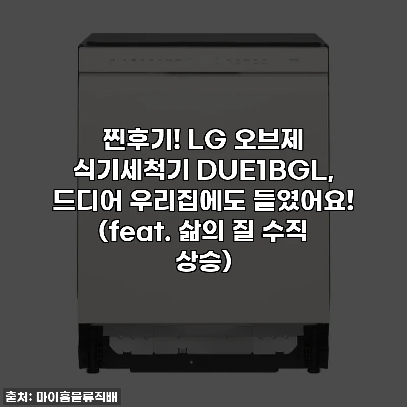 찐후기! LG 오브제 식기세척기 DUE1BGL, 드디어 우리집에도 들였어요! (feat. 삶의 질 수직 상승)