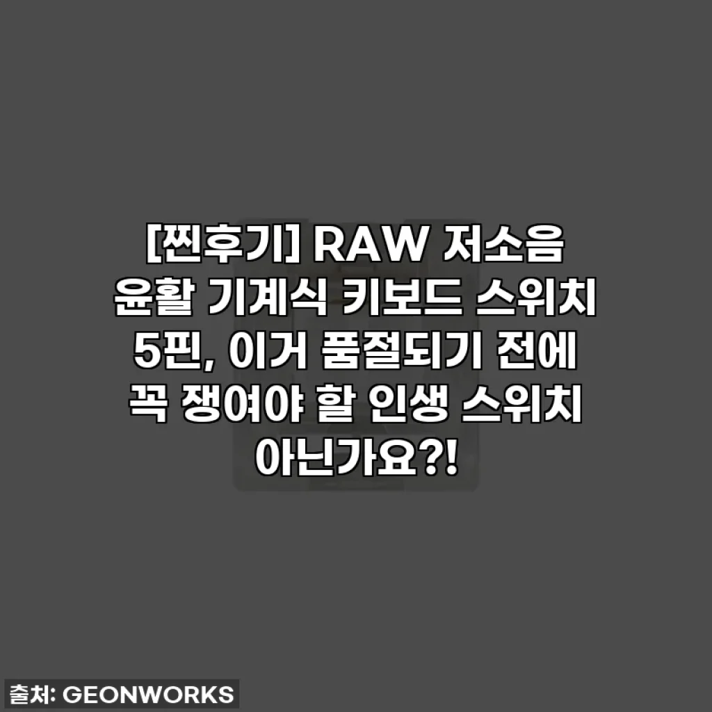 [찐후기] RAW 저소음 윤활 기계식 키보드 스위치 5핀, 이거 품절되기 전에 꼭 쟁여야 할 인생 스위치 아닌가요?!