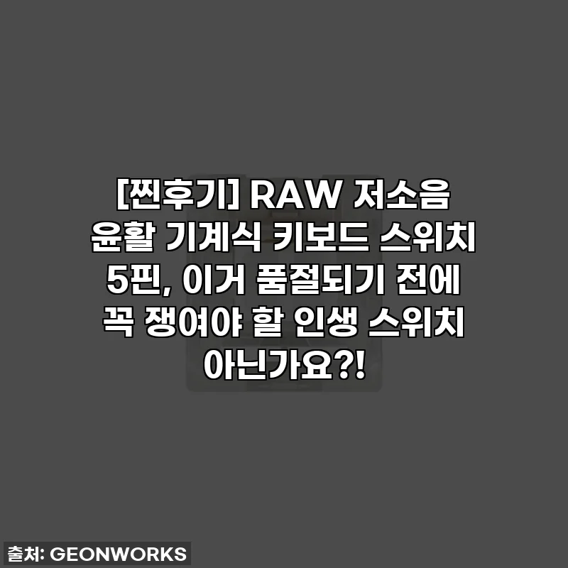 [찐후기] RAW 저소음 윤활 기계식 키보드 스위치 5핀, 이거 품절되기 전에 꼭 쟁여야 할 인생 스위치 아닌가요?!