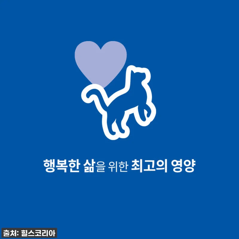우리 냥이 최애템! 힐스 고양이사료 관련 이미지 1
