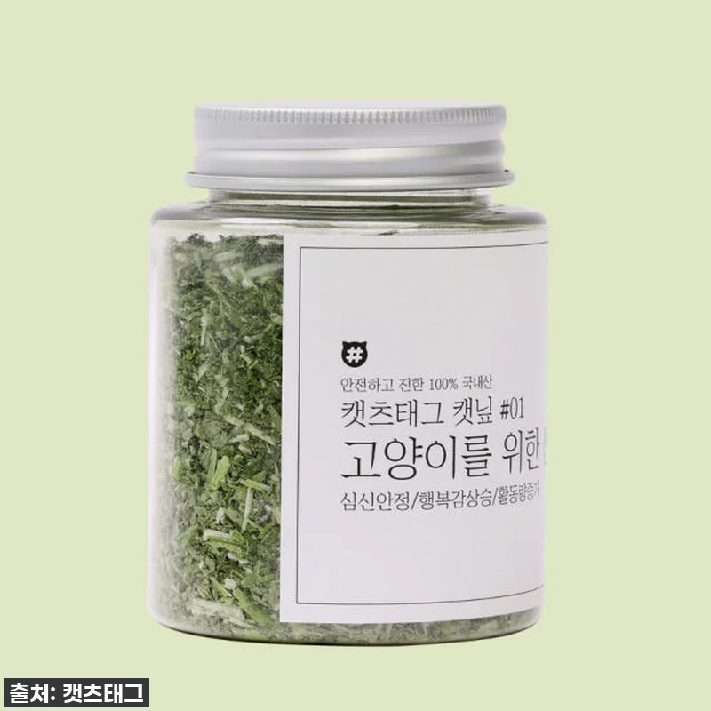 냥이들 뽕파티 시작! 캣츠태그 국산 관련 이미지 2