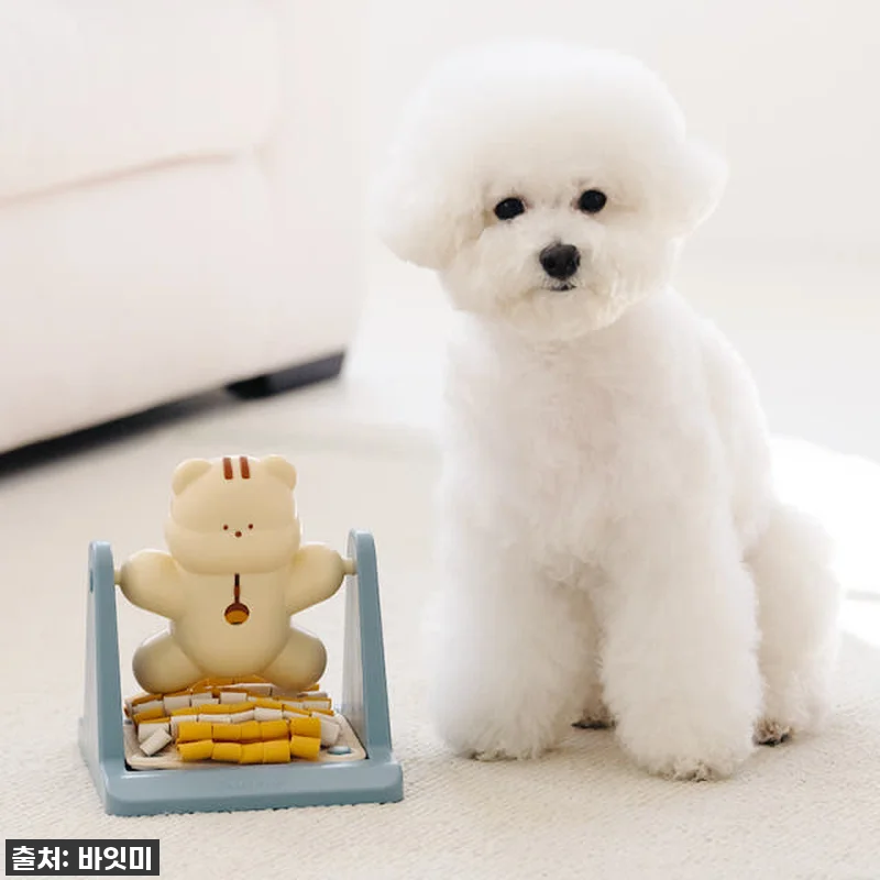 오늘만 이 가격! 품절임박! 우리 댕 관련 이미지 3
