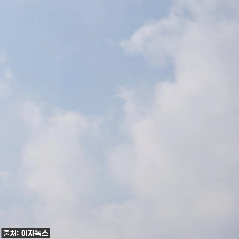 이거 진짜 물건이네! 이자녹스 비타웨 관련 이미지 5