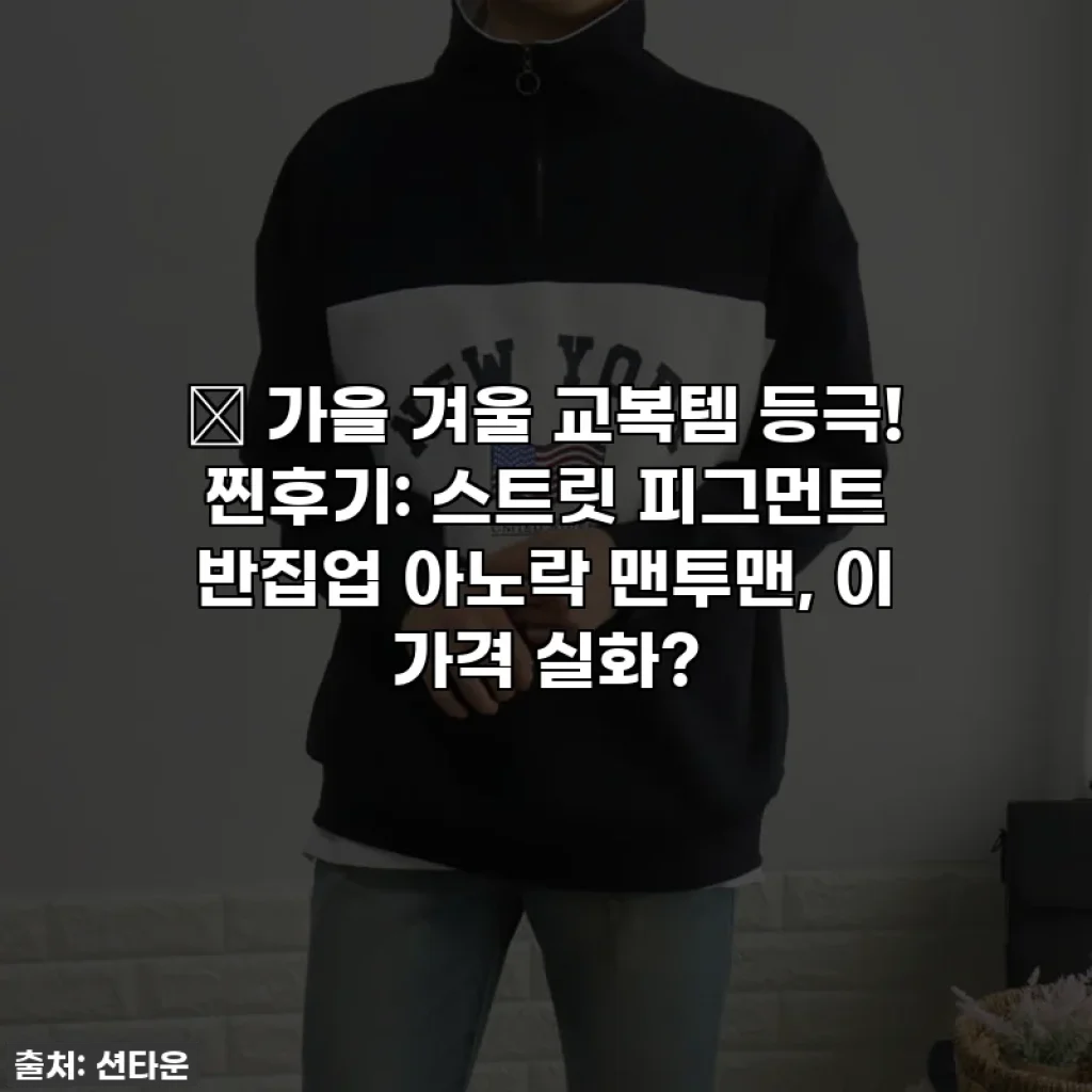 🍂 가을 겨울 교복템 등극! 찐후기: 스트릿 피그먼트 반집업 아노락 맨투맨, 이 가격 실화?