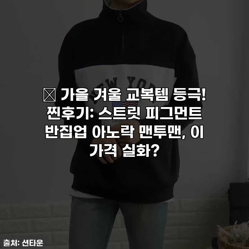 🍂 가을 겨울 교복템 등극! 찐후기: 스트릿 피그먼트 반집업 아노락 맨투맨, 이 가격 실화?