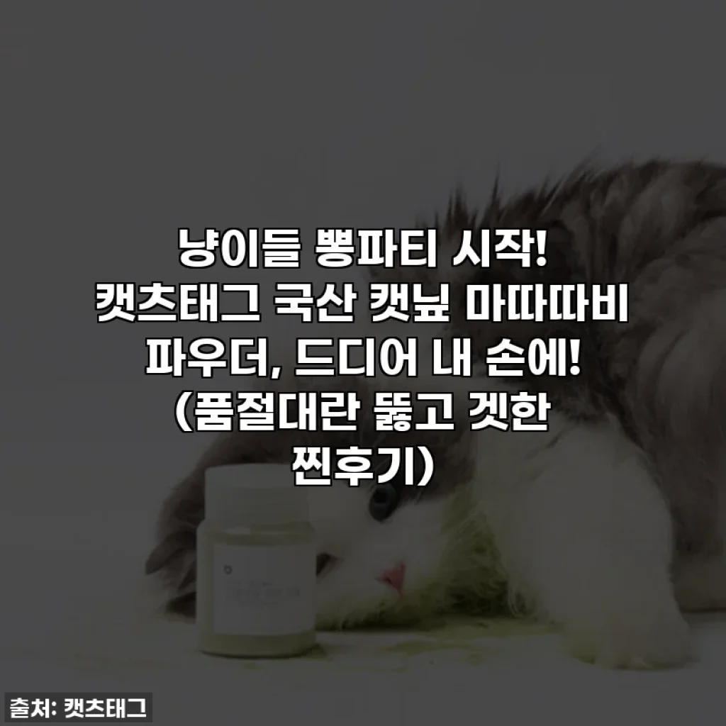냥이들 뽕파티 시작! 캣츠태그 국산 캣닢 마따따비 파우더, 드디어 내 손에! (품절대란 뚫고 겟한 찐후기)