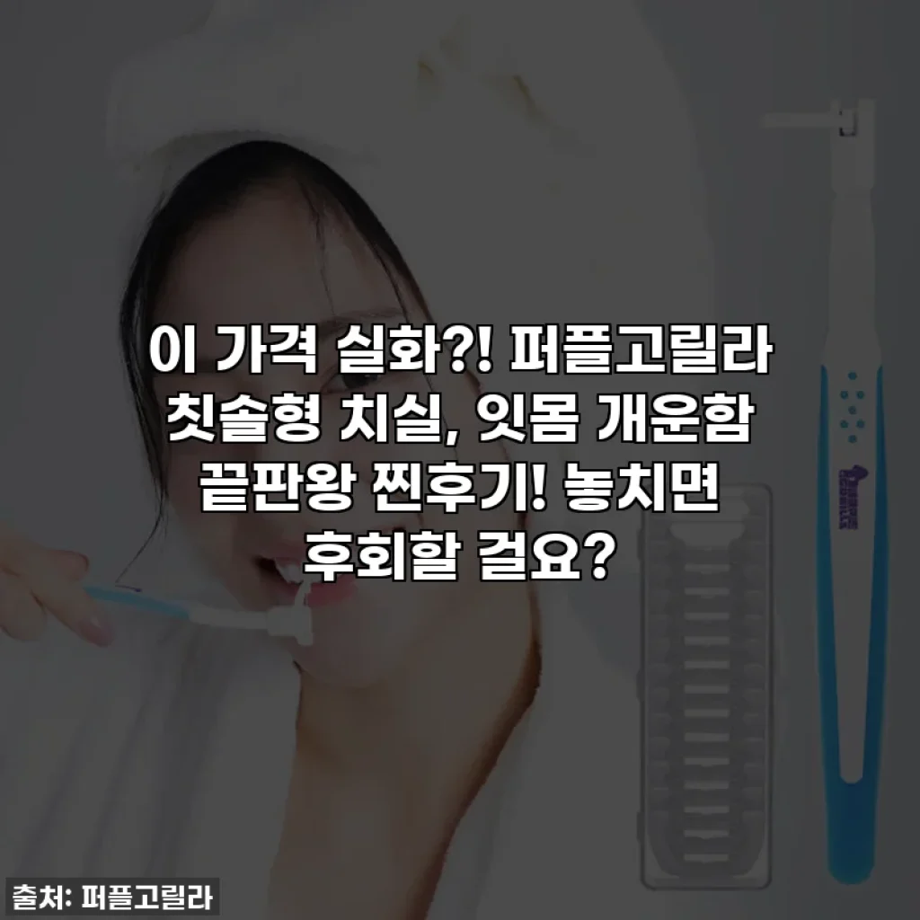 이 가격 실화?! 퍼플고릴라 칫솔형 치실, 잇몸 개운함 끝판왕 찐후기! 놓치면 후회할 걸요?
