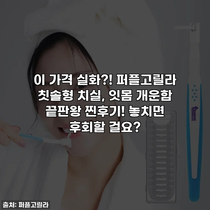 이 가격 실화?! 퍼플고릴라 칫솔형 치실, 잇몸 개운함 끝판왕 찐후기! 놓치면 후회할 걸요?