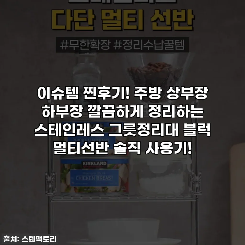 이슈템 찐후기! 주방 상부장 하부장 깔끔하게 정리하는 스테인레스 그릇정리대 블럭 멀티선반 솔직 사용기!
