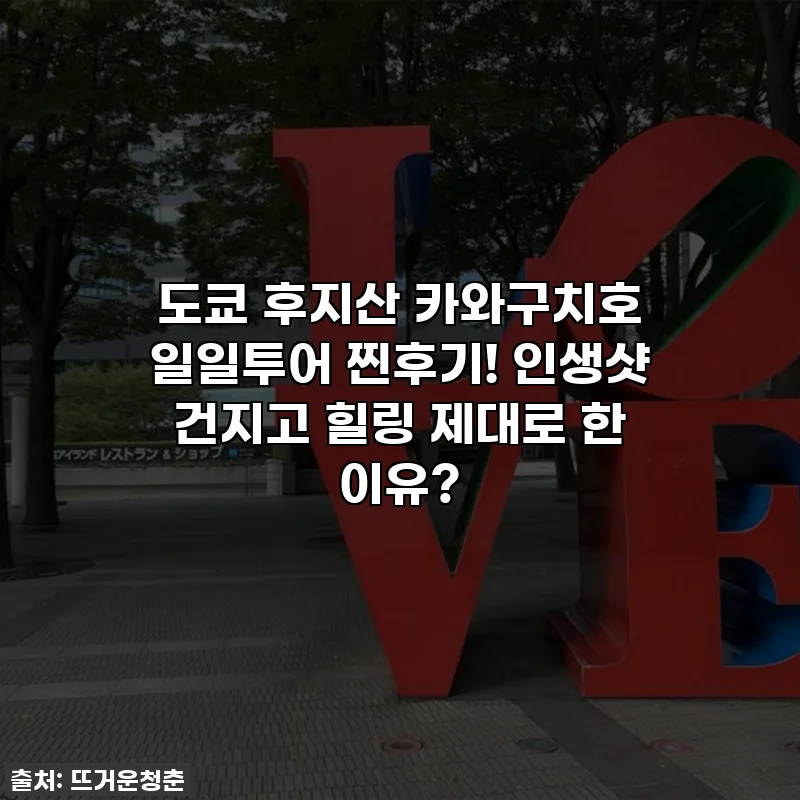 도쿄 후지산 카와구치호 일일투어 찐후기! 인생샷 건지고 힐링 제대로 한 이유?