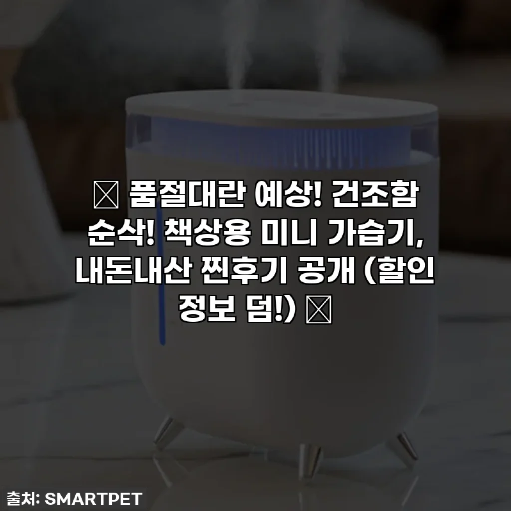 ✨ 품절대란 예상! 건조함 순삭! 책상용 미니 가습기, 내돈내산 찐후기 공개 (할인 정보 덤!) ✨