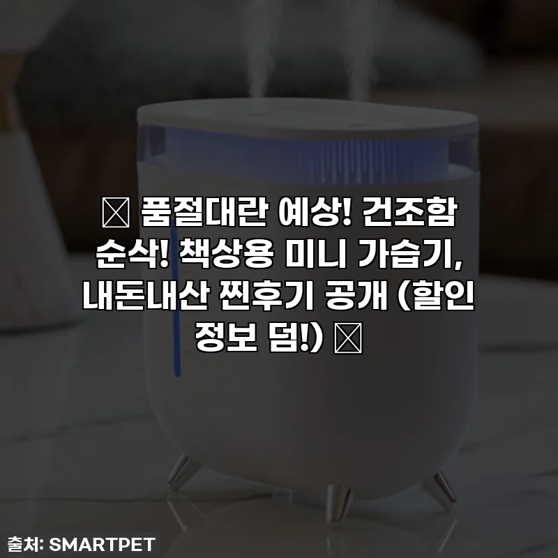 ✨ 품절대란 예상! 건조함 순삭! 책상용 미니 가습기, 내돈내산 찐후기 공개 (할인 정보 덤!) ✨