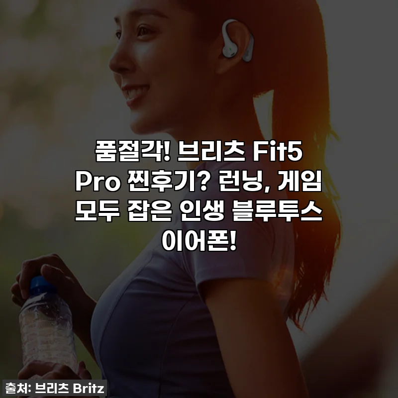 품절각! 브리츠 Fit5 Pro 찐후기? 런닝, 게임 모두 잡은 인생 블루투스 이어폰!
