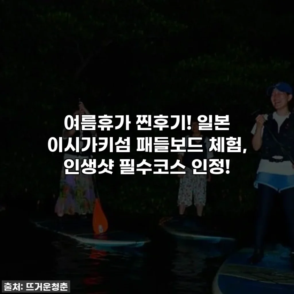 여름휴가 찐후기! 일본 이시가키섬 패들보드 체험, 인생샷 필수코스 인정!
