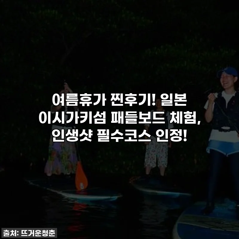 여름휴가 찐후기! 일본 이시가키섬 패들보드 체험, 인생샷 필수코스 인정!