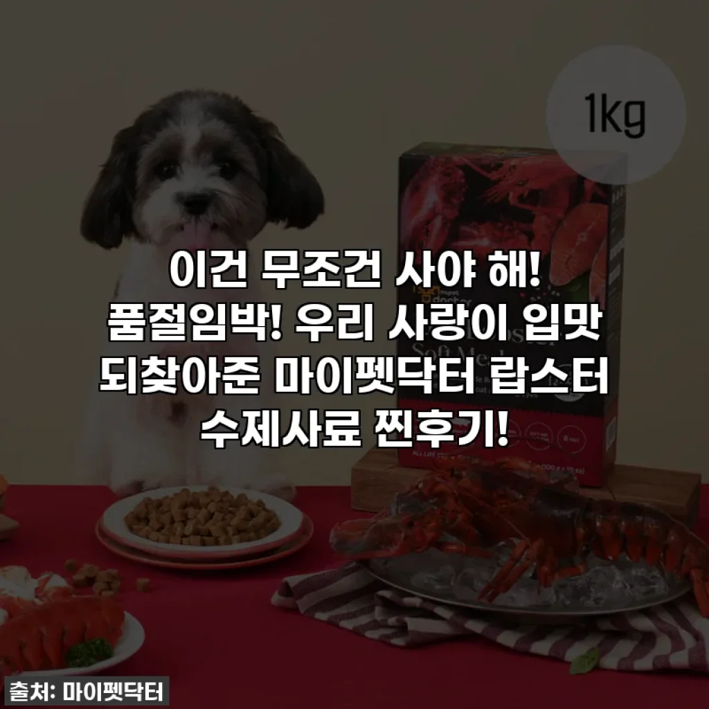 이건 무조건 사야 해! 품절임박! 우리 사랑이 입맛 되찾아준 마이펫닥터 랍스터 수제사료 찐후기!
