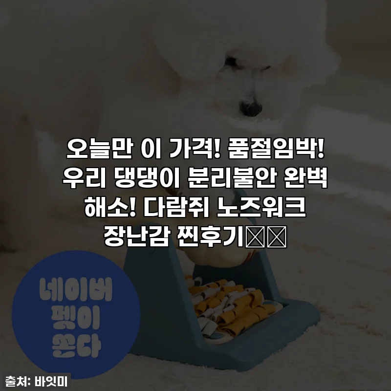 오늘만 이 가격! 품절임박! 우리 댕댕이 분리불안 완벽 해소! 다람쥐 노즈워크 장난감 찐후기🐿️