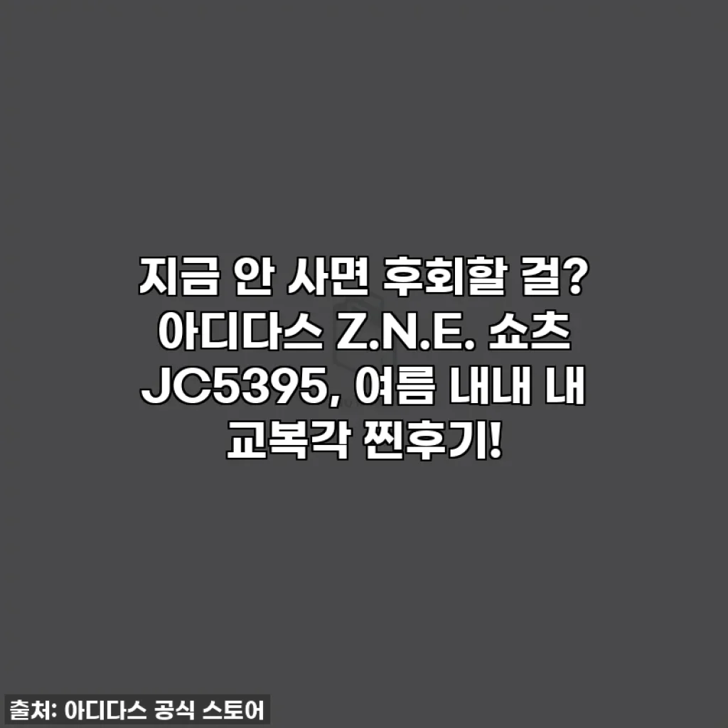지금 안 사면 후회할 걸? 아디다스 Z.N.E. 쇼츠 JC5395, 여름 내내 내 교복각 찐후기!