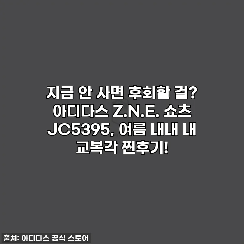 지금 안 사면 후회할 걸? 아디다스 Z.N.E. 쇼츠 JC5395, 여름 내내 내 교복각 찐후기!