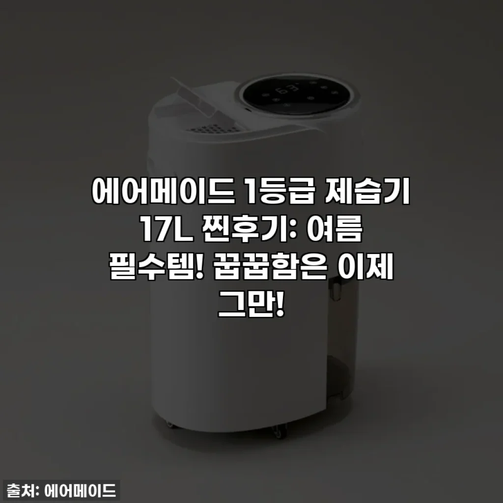 에어메이드 1등급 제습기 17L 찐후기: 여름 필수템! 꿉꿉함은 이제 그만!