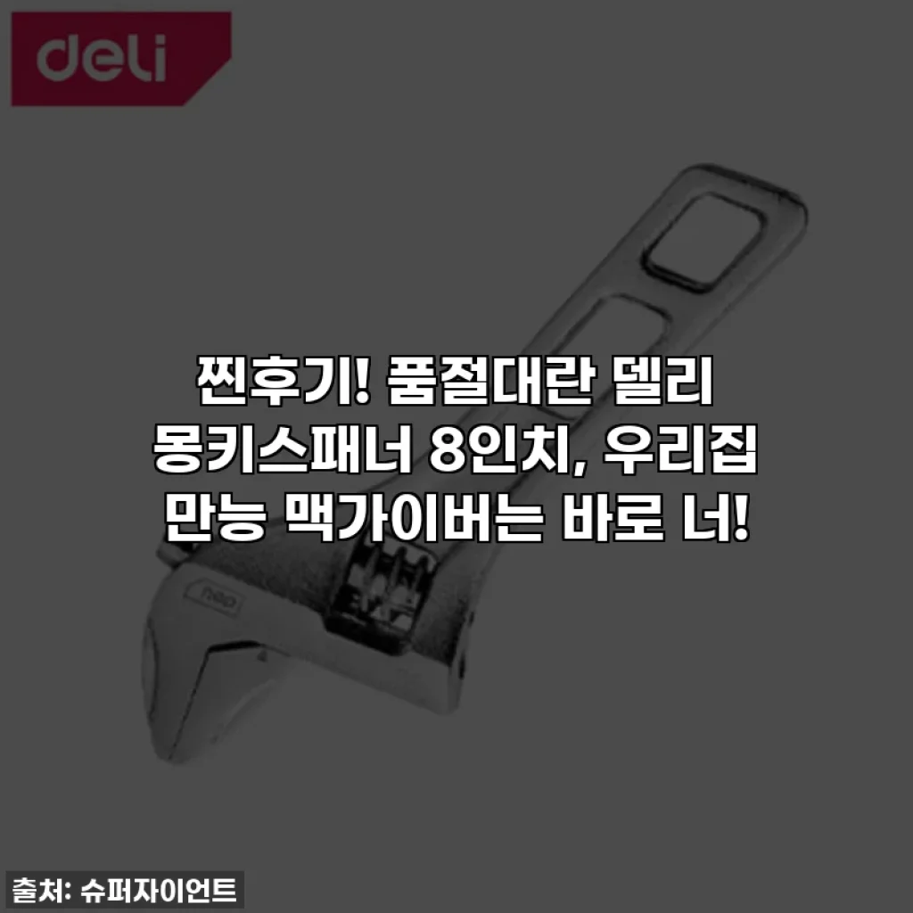 찐후기! 품절대란 델리 몽키스패너 8인치, 우리집 만능 맥가이버는 바로 너!