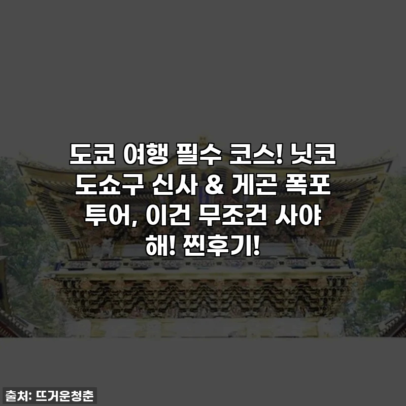 도쿄 여행 필수 코스! 닛코 도쇼구 신사 & 게곤 폭포 투어, 이건 무조건 사야 해! 찐후기!