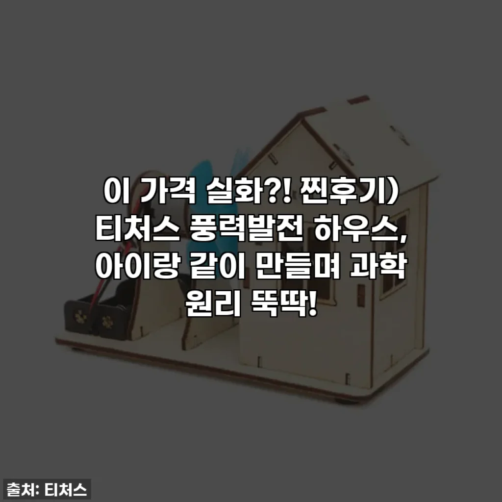 이 가격 실화?! 찐후기) 티처스 풍력발전 하우스, 아이랑 같이 만들며 과학 원리 뚝딱!
