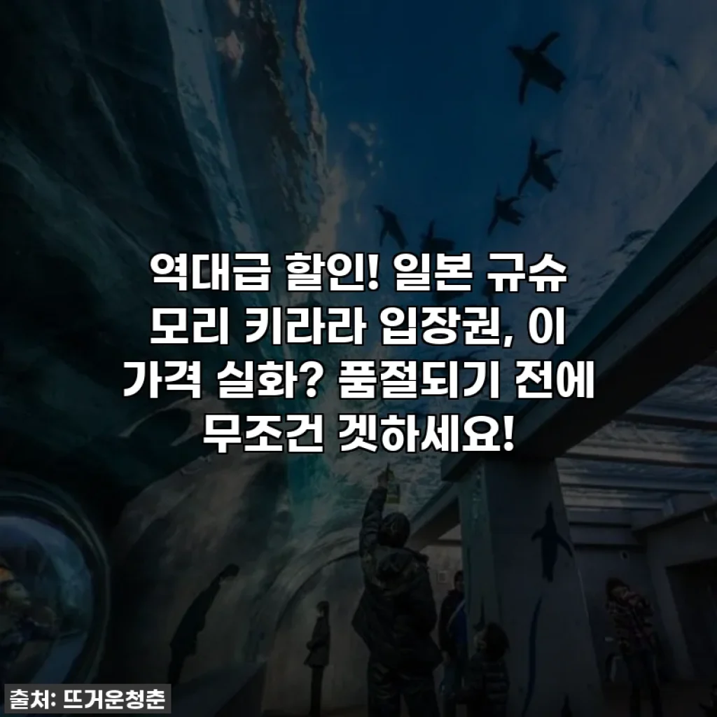 역대급 할인! 일본 규슈 모리 키라라 입장권, 이 가격 실화? 품절되기 전에 무조건 겟하세요!