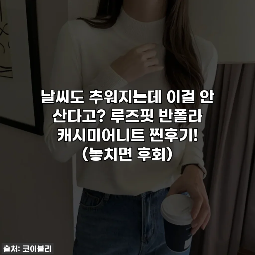 날씨도 추워지는데 이걸 안 산다고? 루즈핏 반폴라 캐시미어니트 찐후기! (놓치면 후회)