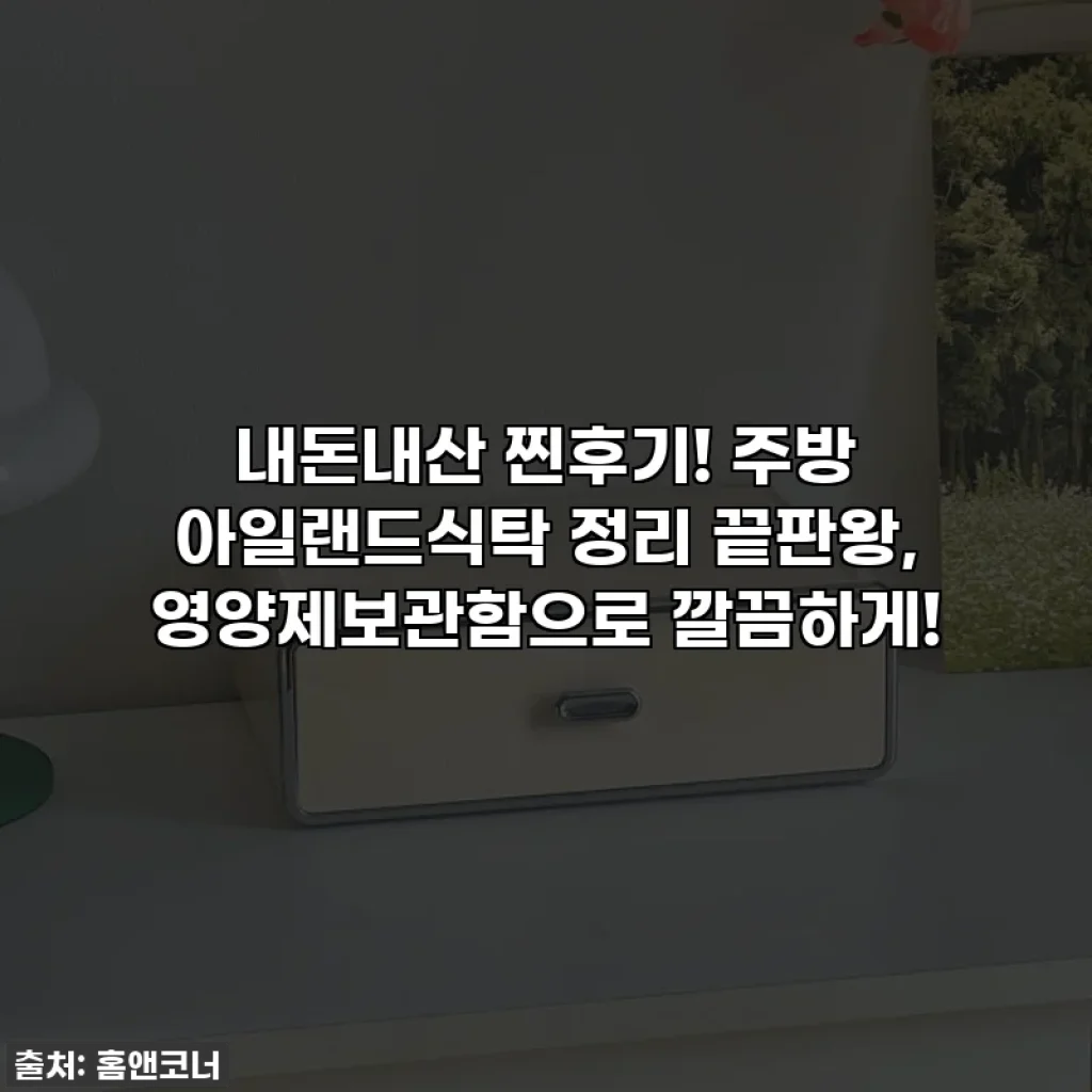 내돈내산 찐후기! 주방 아일랜드식탁 정리 끝판왕, 영양제보관함으로 깔끔하게!