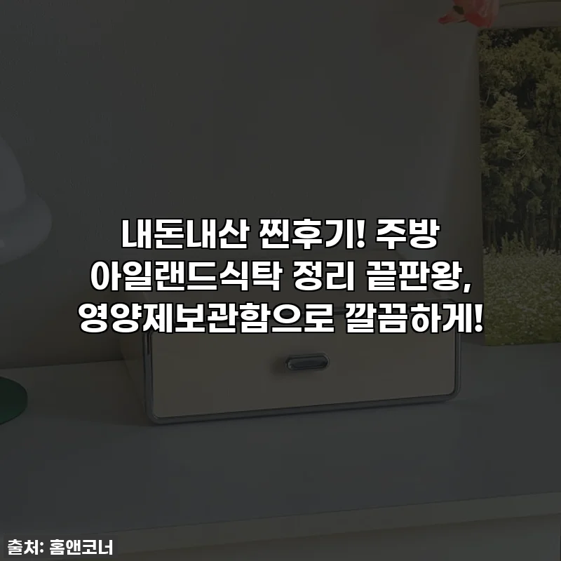내돈내산 찐후기! 주방 아일랜드식탁 정리 끝판왕, 영양제보관함으로 깔끔하게!