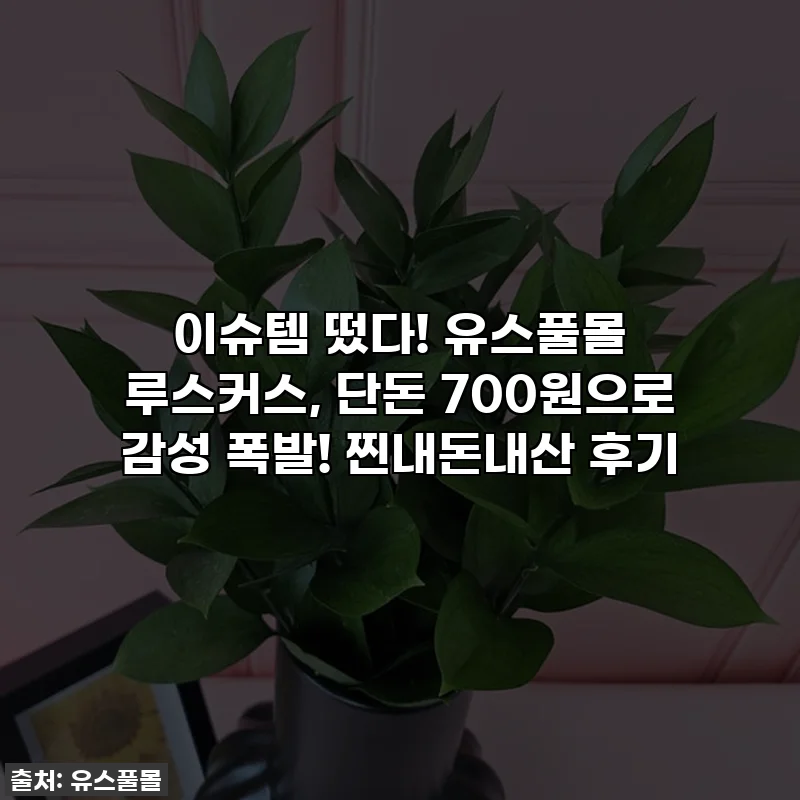이슈템 떴다! 유스풀몰 루스커스, 단돈 700원으로 감성 폭발! 찐내돈내산 후기