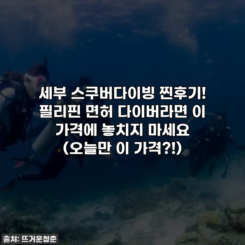 세부 스쿠버다이빙 찐후기! 필리핀 면허 다이버라면 이 가격에 놓치지 마세요 (오늘만 이 가격?!)