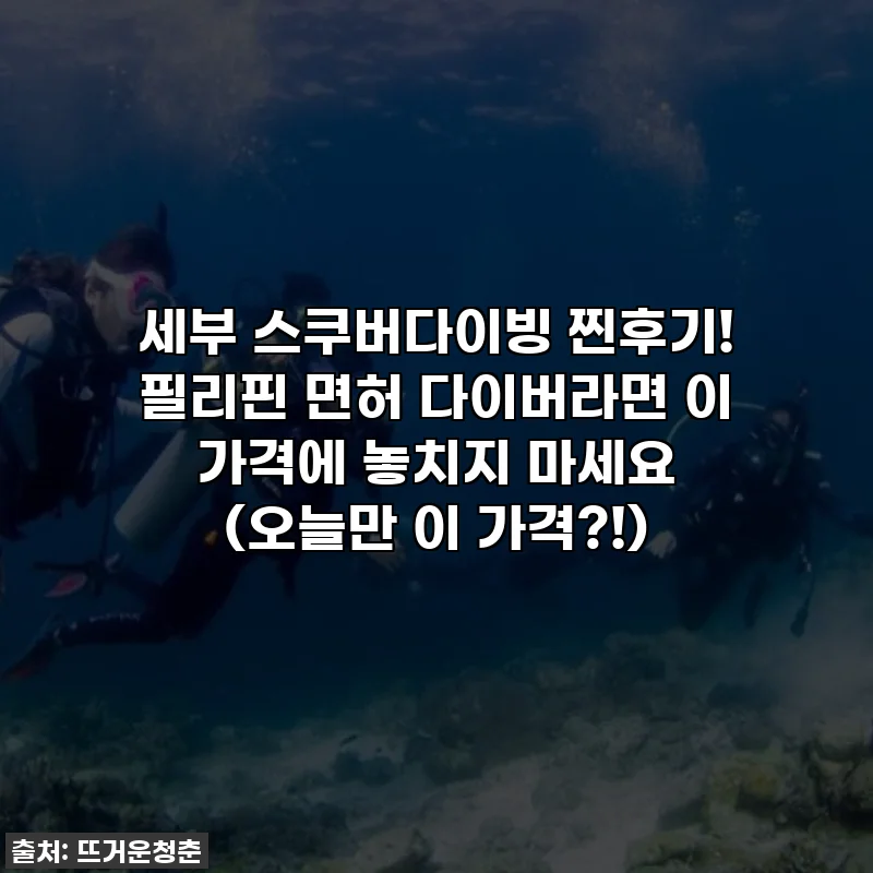 세부 스쿠버다이빙 찐후기! 필리핀 면허 다이버라면 이 가격에 놓치지 마세요 (오늘만 이 가격?!)