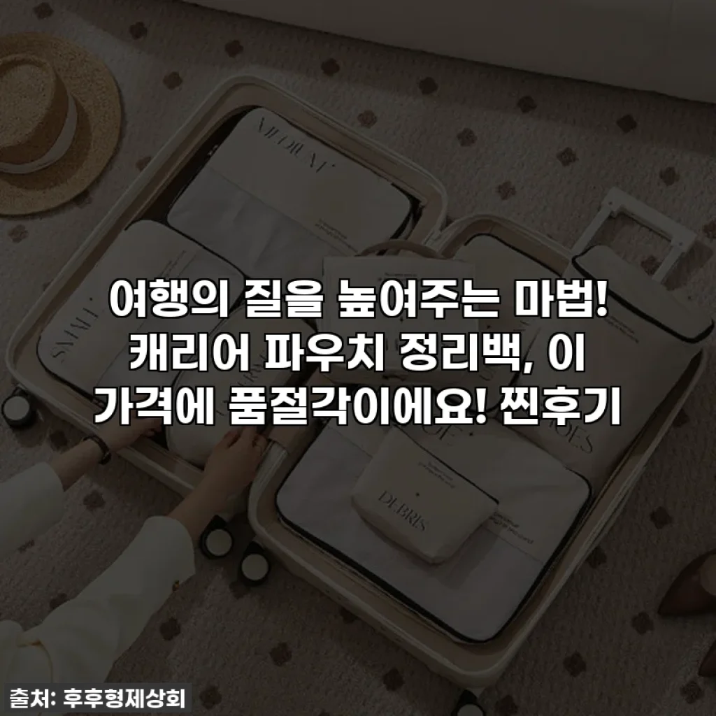 여행의 질을 높여주는 마법! 캐리어 파우치 정리백, 이 가격에 품절각이에요! 찐후기