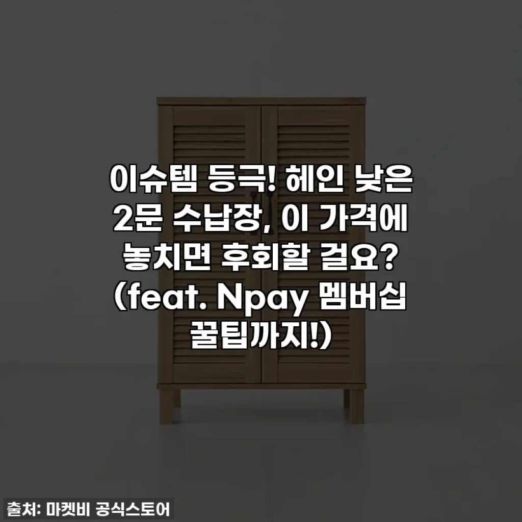이슈템 등극! 헤인 낮은 2문 수납장, 이 가격에 놓치면 후회할 걸요? (feat. Npay 멤버십 꿀팁까지!)