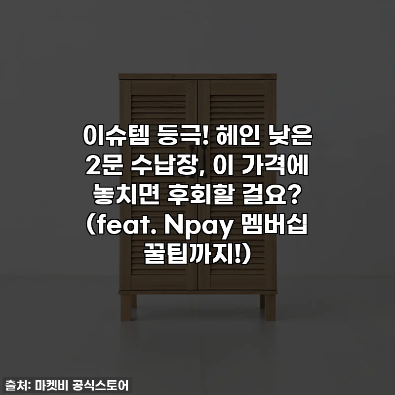 이슈템 등극! 헤인 낮은 2문 수납장, 이 가격에 놓치면 후회할 걸요? (feat. Npay 멤버십 꿀팁까지!)
