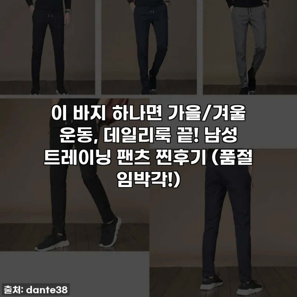 이 바지 하나면 가을/겨울 운동, 데일리룩 끝! 남성 트레이닝 팬츠 찐후기 (품절 임박각!)
