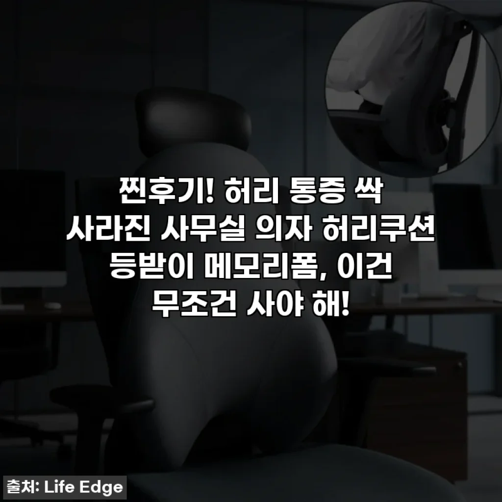 찐후기! 허리 통증 싹 사라진 사무실 의자 허리쿠션 등받이 메모리폼, 이건 무조건 사야 해!