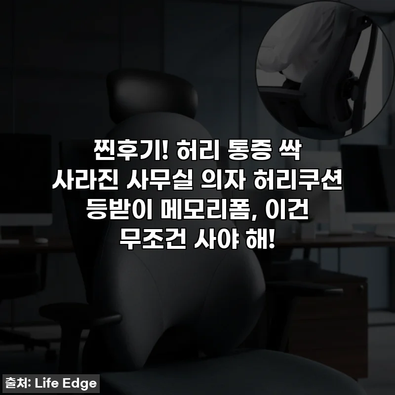 찐후기! 허리 통증 싹 사라진 사무실 의자 허리쿠션 등받이 메모리폼, 이건 무조건 사야 해!